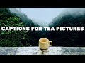 Every Tea Lover Needs These 35 Captions That'll Fill You With Positivitea | Tea Captions & Quotes