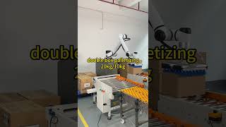 double box palletizer#robot #cobot #palletizer