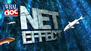 Are Some Commercial Fishing Practices Depleting Fish Stocks? - "Net Effect" - A WRAL Documentary
