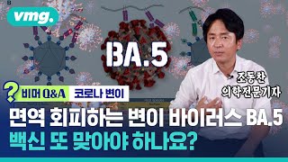 면역 회피하는 변이 바이러스 BA.5 급속히 전파…백신 또 맞아야 하나요? / 비머Q\u0026A / 비디오머그