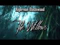 The Willows by Algernon Blackwood | Immersive Forest Walk Horror Audiobook
