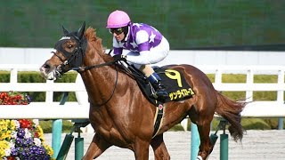 【日経新春杯】近5年の馬番別単勝回収率は驚異の279％ 中京芝2200mは11番枠が波乱を巻き起こす！