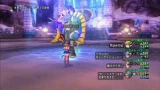 ドラクエ10 グラコス パラ･魔2･僧｡僧侶視点 20140709 4