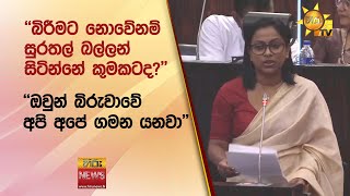 ''බිරීමට නොවේනම්...සුරතල් බල්ලන් සිටින්නේ කුමකටද?'' - Hiru News