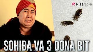 Qalpoq - Sohiba va 3 dona bit