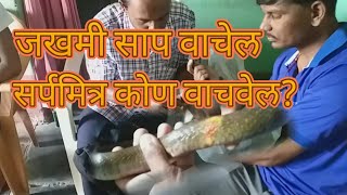 सापाला सर्पमित्र वाचवेल ! पण सर्पमित्रांना कोण वाचवेल!