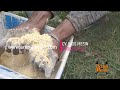 soft corn milling machine corn flour turns rice flour