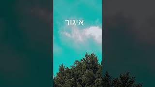 8 בדצמבר 2024