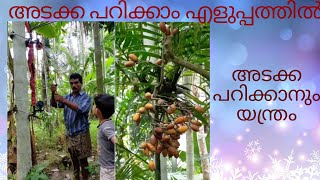 അടക്ക പറിക്കാം എളുപ്പത്തിൽ! അടക്ക പറിക്കൽ യന്ത്രം !Areca palm!