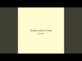 Crystal Aurora Forest