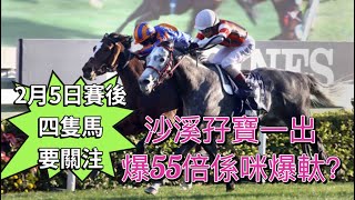 2月5日賽後四隻馬要關注 沙溪孖寶一出爆55倍是否爆軚？