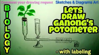 Lets Draw Ganong's Potometer || Plants Transpiration || Biology Class || Sketches \u0026 Diagrams Art ||