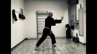 Kenpo IKCA - Master Form - Orange Belt segment