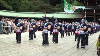 上總組　第11回原宿スーパーよさこい　奉納演舞　2011年８月27日