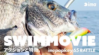 2023.5.10 DEBUT | imapopkey 65 RATTLE SWIM MOVIE