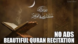 Beautiful Quran Recitation - 10 Hours | No Ads