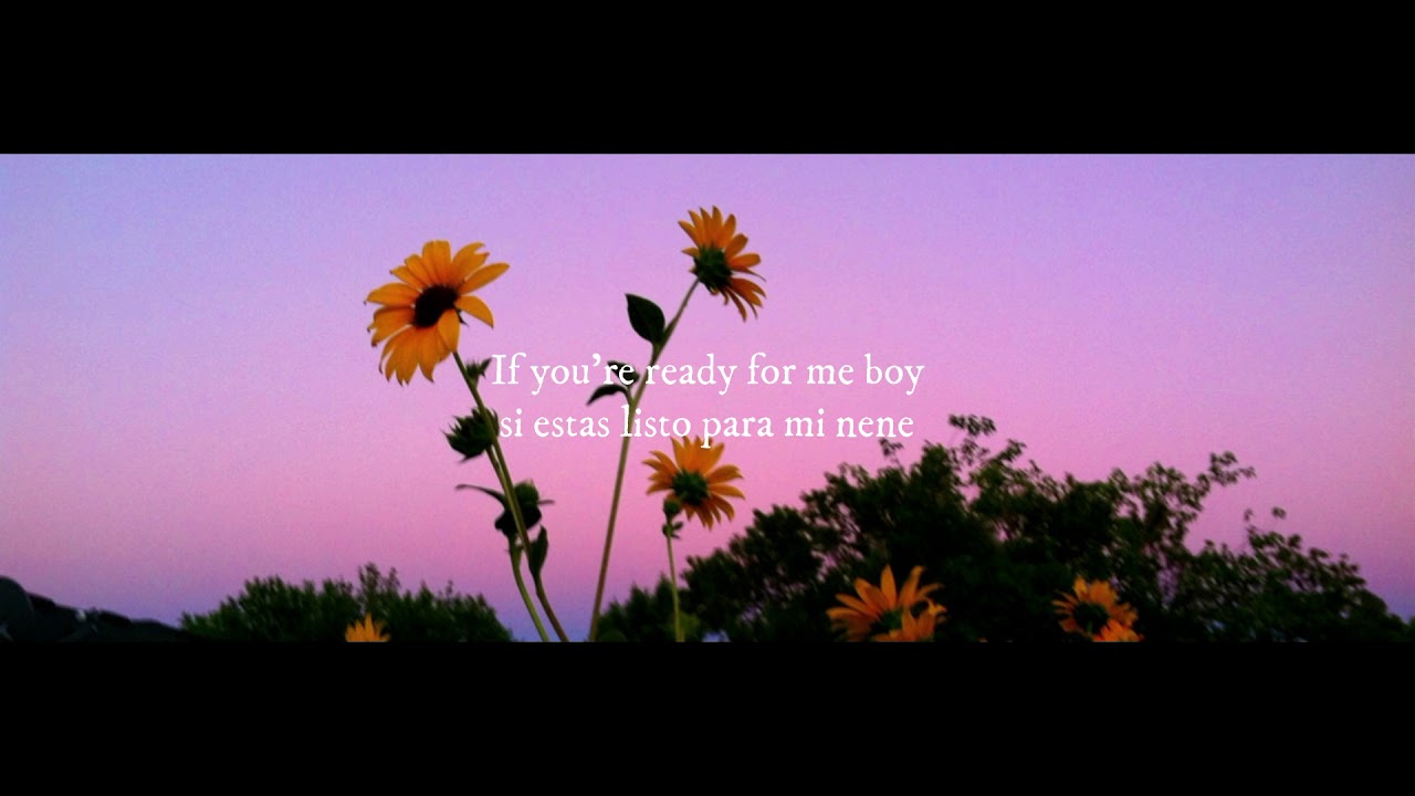 Push The Button Lyrics Sugababe At Rose Briggs Blog