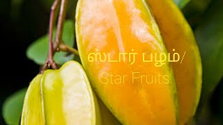 ஸ்டார் பழம்/Star  Fruits