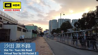 【HK 4K】沙田 源禾路 | Sha Tin - Yuen Wo Road | DJI Pocket 2 | 2021.11.30