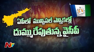 ఏపీ మున్సిపల్ ఎన్నికల్లో దుమ్మురేపుతున్న వైసీపీ | AP Municipal Election Results | NTV