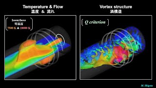 Three-dimensional flow dynamics of a DC-RF hybrid thermal plasma