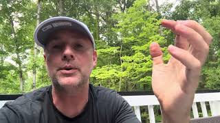 Remove lizards from Home - Do it yourself pest control - Natural Solution