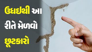 ઉધઇથી આ રીતે મેળવો છૂટકારો #Home #Termite