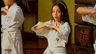 KARATE KYOKUSHIN KAN NIÑOS MATINAL Amm CANAL ARICA TV 12.07.17