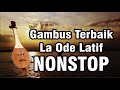 nonstop gambus terbaik daratan pulau muna