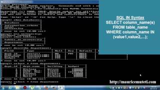 Structured Query Language Tutorial SQL Part 18 IN Operator Command Prompt Console