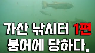 [피쉬앤피플] 가산낚시터 1편 붕어에 당하다.