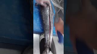 King Fish 25Kg / Fish / നെയ്മീൻ