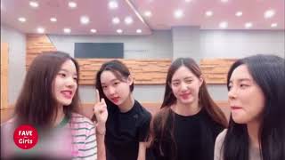 페이브걸즈 (favegirls) 연습실 캠 (이수진,박해린,신지윤,신수현)