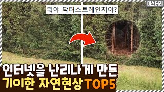 뭔가 일어나고 있음.. 인터넷을 난리나게 만들었던 기이한 자연현상들 TOP5