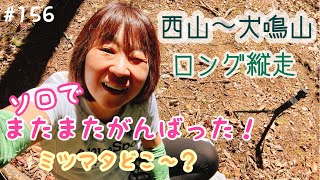 【ロング縦走】福岡の低山！玄人向けのロング縦走笑笑ミツマタをみつけに。