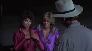 The Cannonball Run - 1981 || Adrienne Barbeau Cleavages || Tara Buckman Cleavages #shots #subscribe