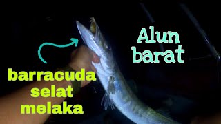 memancing ketika ribut barat sampai | #appollo #ikankarang #barracuda #bantalemas #kerapu