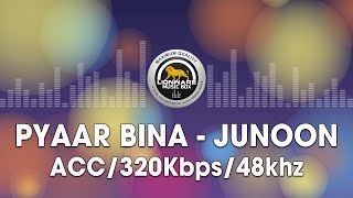 Pyaar Bina - Junoon