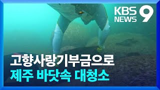 제주 고향사랑기부금 1호 사업은?…남방큰돌고래와 공존 위한 바닷속 대청소 [9시 뉴스]/ KBS  2023.11.04.