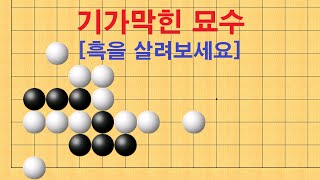 바둑 사활 - 기가막힌 묘수로 흑을 살려보세요