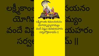 శ్రీ విష్ణు సహస్ర నామ స్తోత్రం ధ్యానం శ్లోకం -6 #bhakti #telugu #mantra #devotional #sloka #vishnu