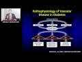 Mechanisms of Vascular Dysfunction in Diabetes (Joshua A. Beckman, MD) Feb 23, 2017