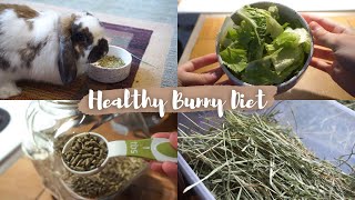 What My Bunny Eats In A Day // Millie's Diet // Healthy Adult Rabbit