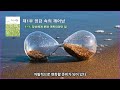 쉬운 깨달음 1 1. 당신에게 본래 계회되었던 일