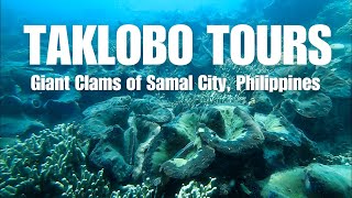 Giant Clam Sanctuary in Samal (Taklobo Tours) - HD Underwater Footage