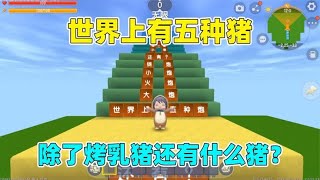 迷你世界：世界上有五种猪！你知道是哪五种吗？