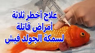 علاج أخطر الأمراض القاتلة - لسمكة الجولد فيش