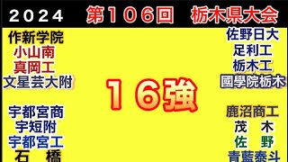 ２０２４　高校野球栃木大会　ベスト１６紹介！！　優勝候補筆頭の白鴎大足利の負けてしまった理由とは…？