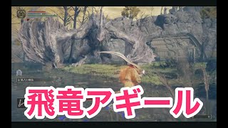 【ELDEN RING】飛竜アギールは炎のブレスを愛馬で逃げ回りながら倒す