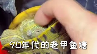 【戶外捕魚VLOG】南豐兄弟抓甲魚黃鱔#戶外#鄉村味道#大自然的搬運工#野外生存